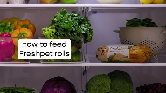 Freshpet® Tender Chicken Recipe with Vegetables Dog Food